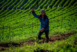 BIB: 
                            <button type="button" onclick="openModal(19160868)" class="btn btn-primary btn-sm float-right btn-popup" data-toggle="modal" data-target=".modal-high-quality">
                        <i class="fas fa-shopping-cart"></i> Add to Cart
                    </button>
                                            <button type="button" onclick="isThisMe(19160868, true)" class="btn btn-success btn-sm float-right btn-popup btn-isme hidden" data-toggle="tooltip" data-placement="bottom" title="นี่คือรูปของคุณใช่ไหม คลิกที่นี่เพื่อเอาเข้าอัลบั้ม">
                        <i class="fas fa-plus"></i> Add to album
                    </button>
                    <button type="button" onclick="isThisMe(19160868, false)" class="btn btn-warning btn-sm float-right btn-popup btn-isnotme hidden">
                        <i class="fas fa-ban"></i> Remove from album
                    </button>